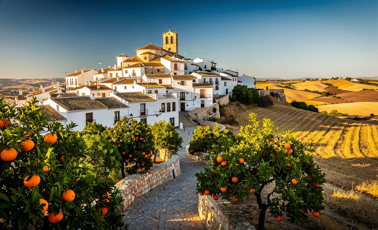 Village andalou blanc sur une colline entouré d’orangers en fleurs et de champs dorés sous un ciel bleu.