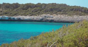 Crique aux eaux turquoise bordée de pins et de falaises calcaires