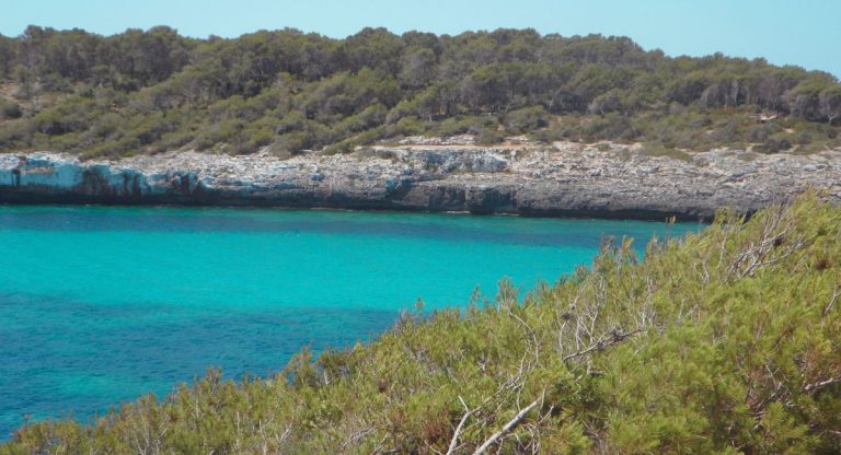 Crique aux eaux turquoise bordée de pins et de falaises calcaires