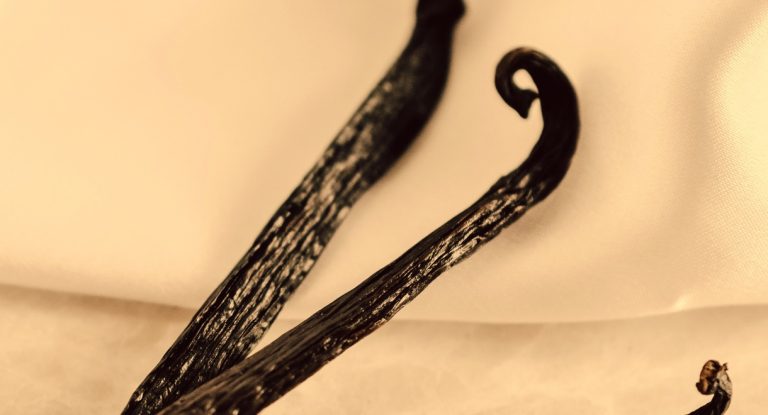 Gousses de vanille noires en gros plan sur tissu clair